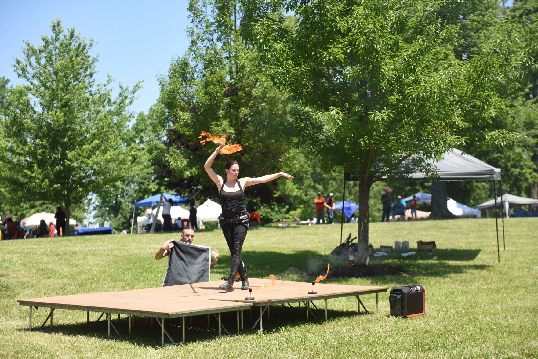 Festival in the Park